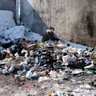 Надежда Добрецова: Невывоз мусора - следствие финансовой централизации