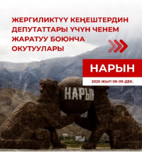 Нарын облусунда жергиликтүү кеңештердин депутаттары үчүн ченем жаратуу боюнча окутуу өткөрүлдү